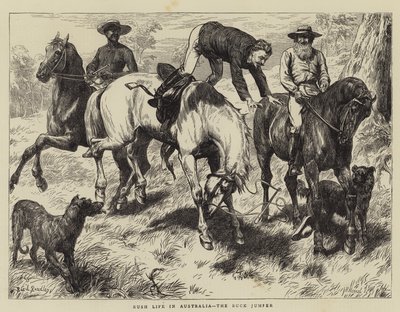 Bush Life in Australia, the Buck Jumper by Basil Bradley